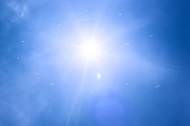 istock Sun, blue sky, and white doves 187125829