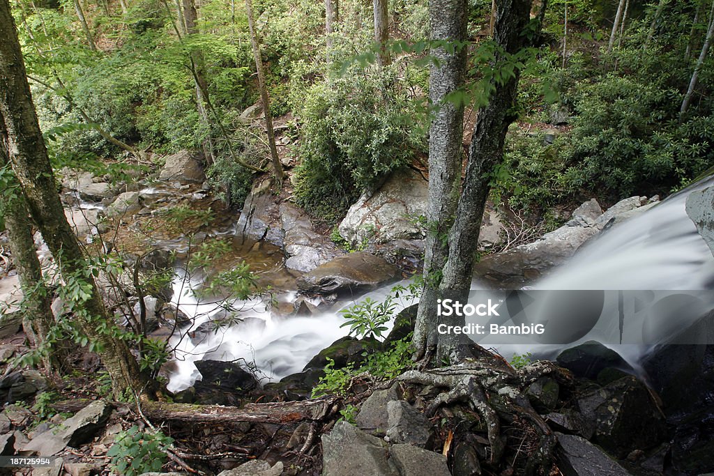 Wasserfall - Lizenzfrei Appalachen-Region Stock-Foto
