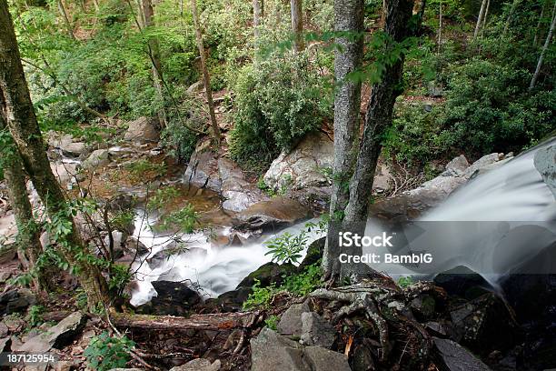 Wasserfall Stockfoto und mehr Bilder von Appalachen-Region - Appalachen-Region, Baum, Bewegung