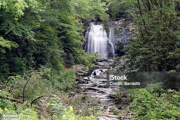 Cascata - Fotografias de stock e mais imagens de Ao Ar Livre - Ao Ar Livre, Appalachia, Beleza natural