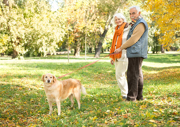 istock Senior couple walking their dog in park. 187126236