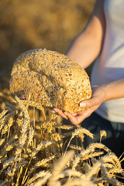 chleb 7 ziaren - loaf of bread bread portion 7 grain bread zdjęcia i obrazy z banku zdjęć