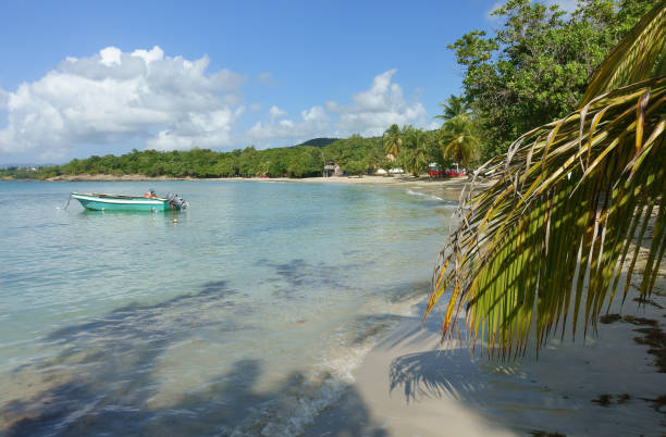 istock Beach of  Martinique 1871264904