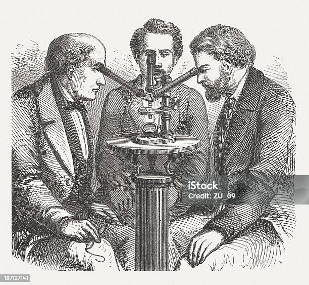 Microscope For Three Users Wood Engraving Published In 1877 Stock Illustration - Download Image Now