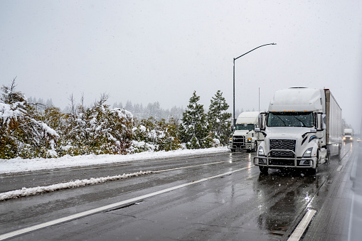 Industrial grade white big rig long hauler semi trucks transporting cargo in different semi trailers cautiously driving on a dangerous winter highway during snowfall in Shasta Lake area in California