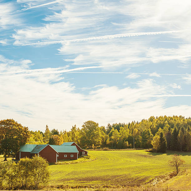 istock Rural scene in Sweden 187129002