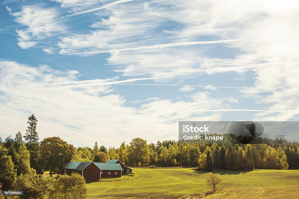 Scène rurale en suède - Photo de Arbre libre de droits