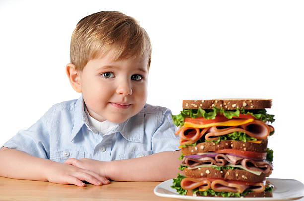 Young Boy with Triple Decker Dagwood Sandwich Horizontal image of an adorable 3 year old boy sitting at the table with a very large sandwich. The sandwich is layered with deli meats, cheeses, purple onion, tomato and lettuce on whole wheat bread. dagwood stock pictures, royalty-free photos & images