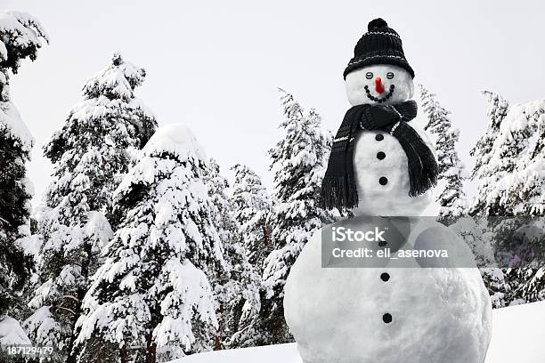 Lachen Schneemann Stockfoto und mehr Bilder von Grau - Grau, Nicht-städtisches Motiv, Schnee
