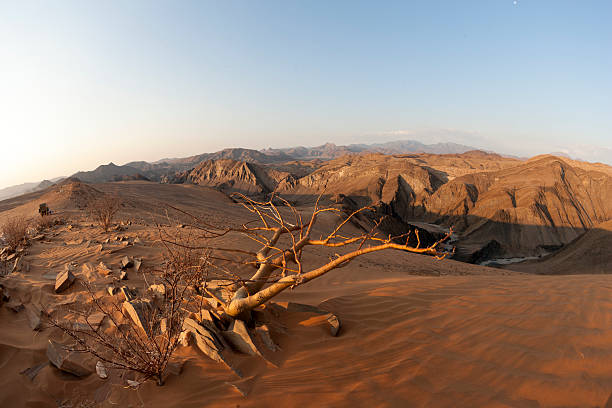 Taken in Northern Namibia