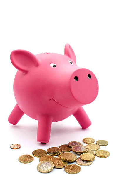 istock Piggy bank with Euros 187130013