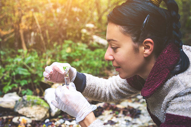 Young ecologist woman in the forest