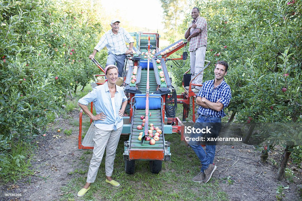 Sucesso da equipe de negócios de maçã - Foto de stock de 40-49 anos royalty-free