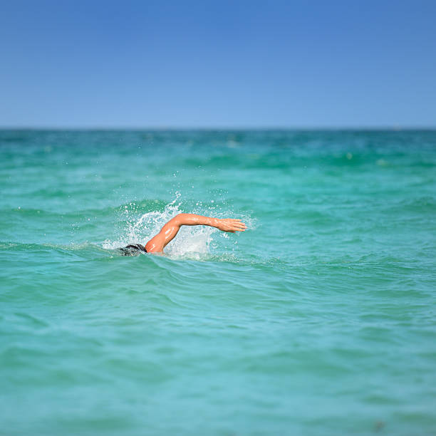 istock Man swimming in the Ocean 187130252