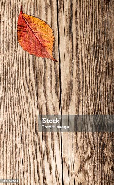 Suchy Jesień Liść Na Stare Deski - zdjęcia stockowe i więcej obrazów Bez ludzi - Bez ludzi, Czerwony, Deska