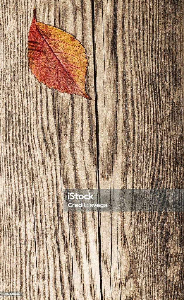 Folhas de outono seco na old prancha - Foto de stock de Amarelo royalty-free