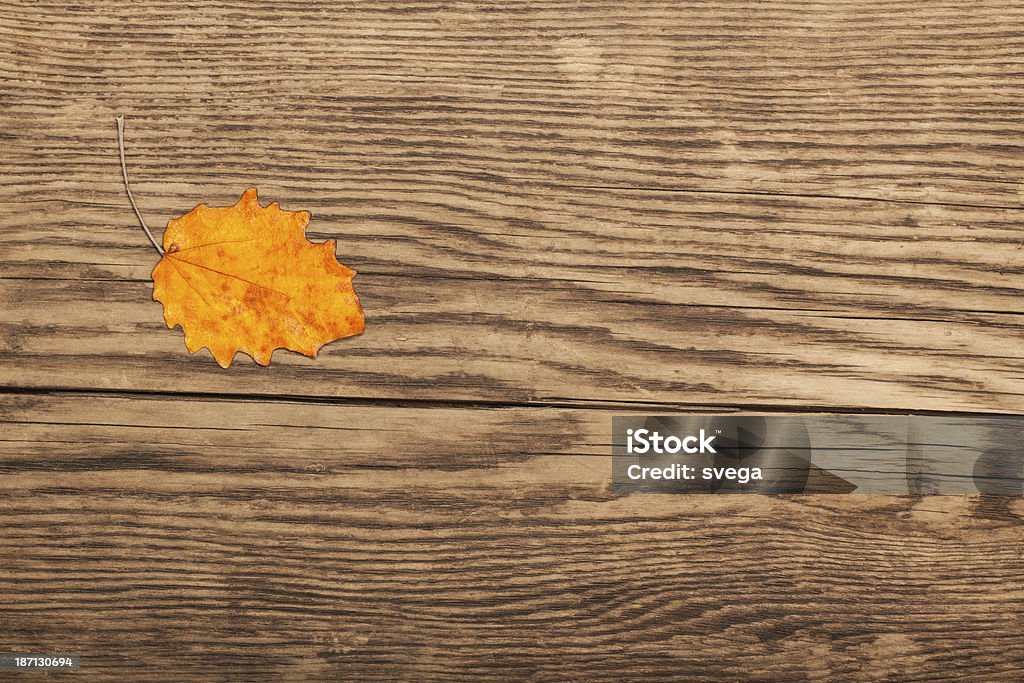 Dry Herbst Blatt auf alten plank - Lizenzfrei Alt Stock-Foto
