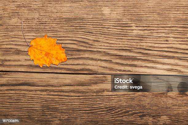 Dry Herbst Blatt Auf Alten Plank Stockfoto und mehr Bilder von Alt - Alt, Ausgedörrt, Bauholz-Brett