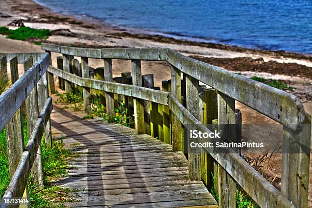 Boardwalk To The Sea Stock Photo - Download Image Now - Bannister, Beach, Beauty In Nature