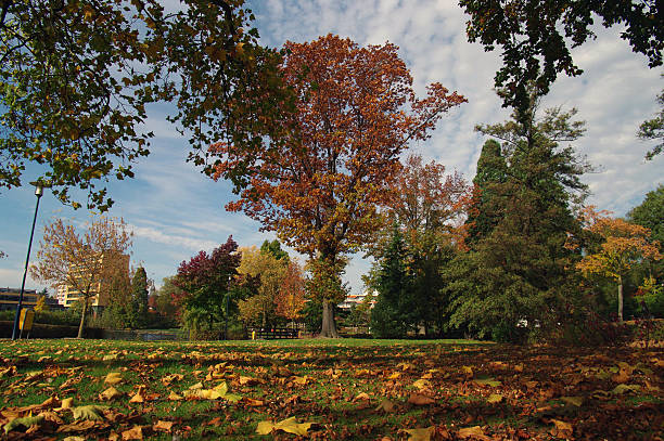 istock City park in Autumn setting 187131645