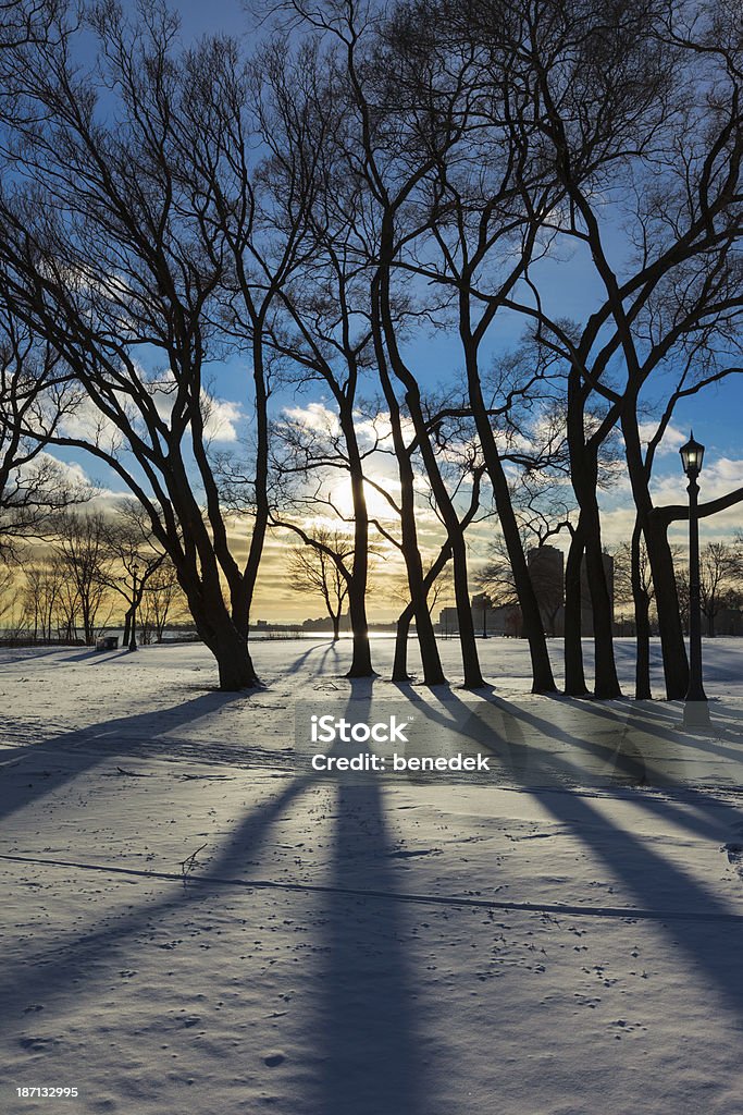 City Park During Winter with Snow City Park in winter time Back Lit Stock Photo