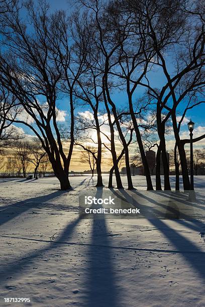 City Park During Winter With Snow Stock Photo - Download Image Now - Back Lit, Blue, Canada