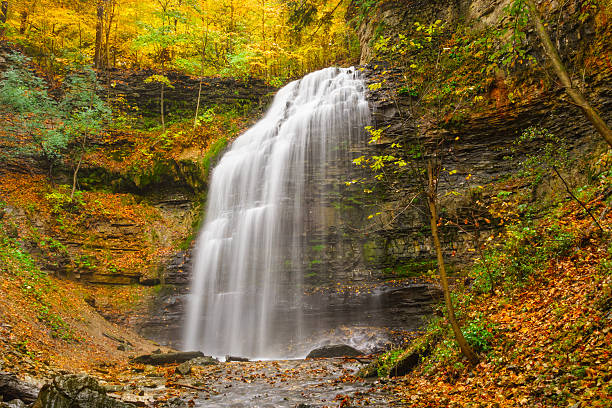 istock Waterfall during Autumn Tiffany Falls in Hamilton Ontario Canada 187133004