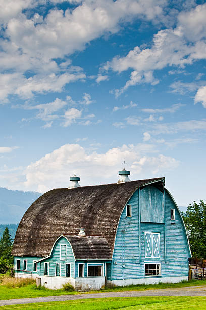 Blue Barn in the Stillaguamish Valley Nothing speaks of rural America like an old barn. Sadly, many of these wooden relics have fallen into disrepair or simply disappeared. The few still remaining remind us of a time when small farms produced most of the food we eat. This unique blue painted barn sits in the Stillaguamish Valley north of Arlington, Washington State, USA. jeff goulden agriculture stock pictures, royalty-free photos & images