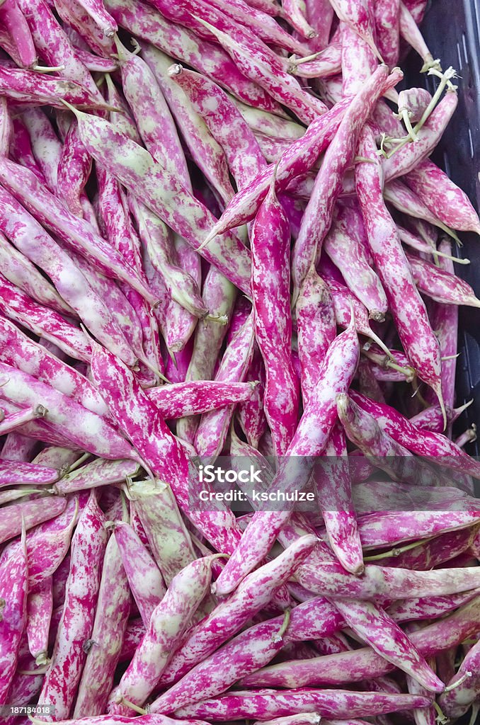 String beans with holiday colors of red, green, and white Hybrids on display at a farmer's market in Beaverton, Oregon, USA, in September Oregon - US State Stock Photo
