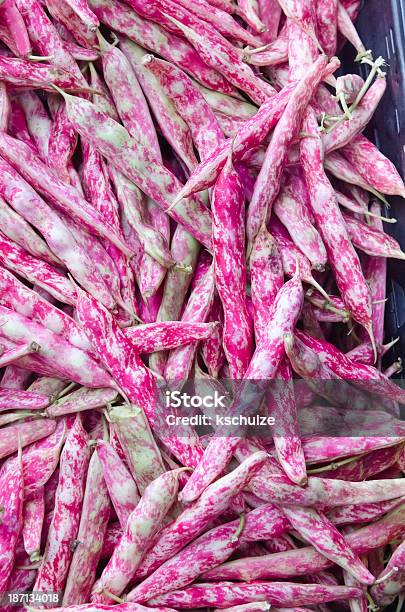 String Beans With Holiday Colors Of Red Green And White Stock Photo - Download Image Now