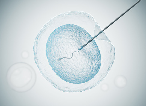 fertilization or artificial insemination, Fertilization of human egg cell with sperm, 3d rendering.