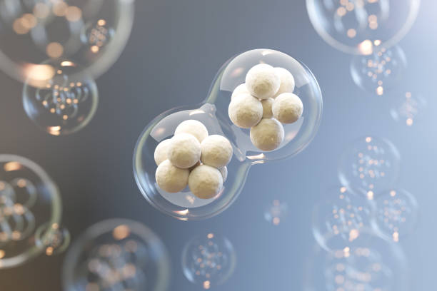 istock 3d rendering of Human cell or Embryonic stem cell microscope background. 1871341660