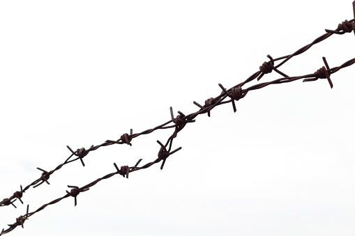 silhouette barbed wire on white background.