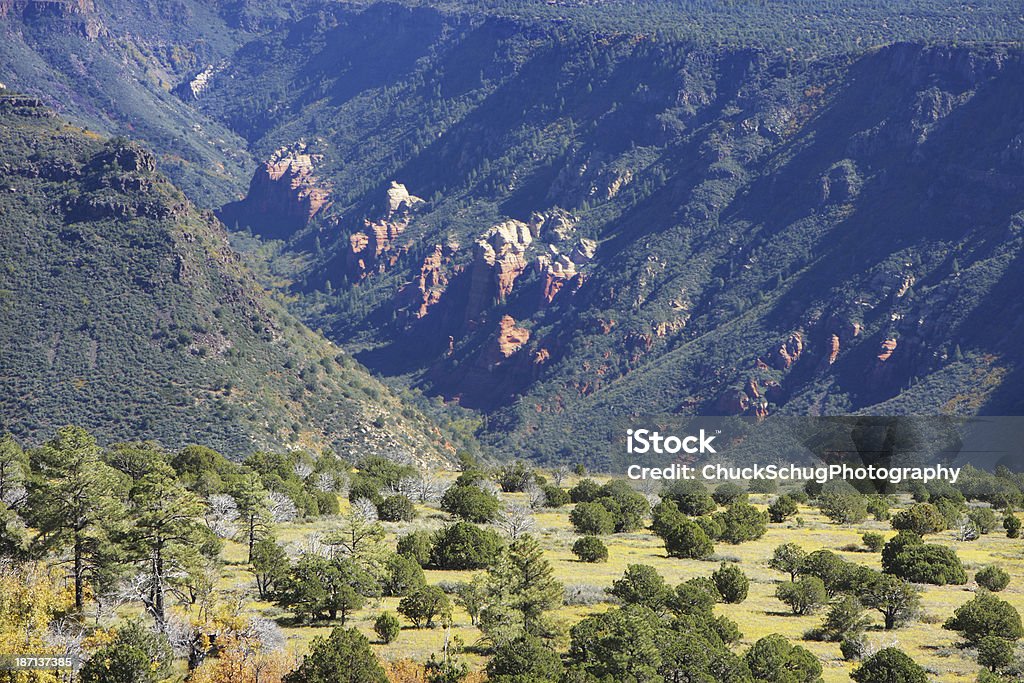 Chaparral Canyon Valley Wilderness Landscape An eroded red rock desert canyon mountain valley beyond the edge of a mountain meadow dotted with juniper trees.  North Wilson Mountain, Coconino National Forest, Yavapai County, Arizona, 2013. Arizona Stock Photo