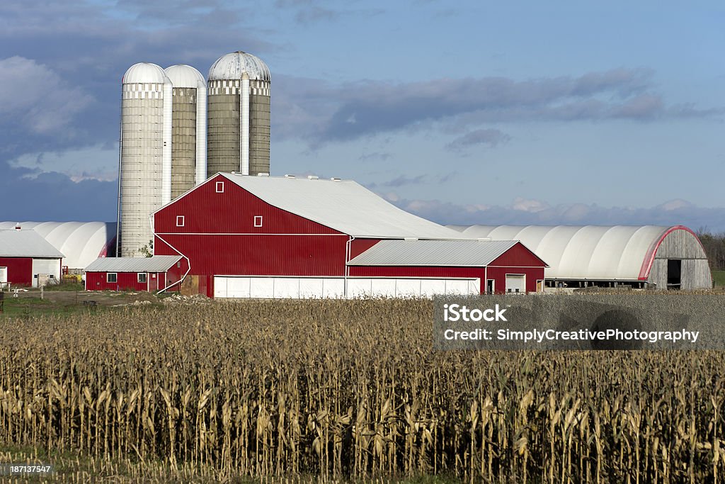 Farm Barns e Silo s em queda - Royalty-free Abrigo de Jardim Foto de stock