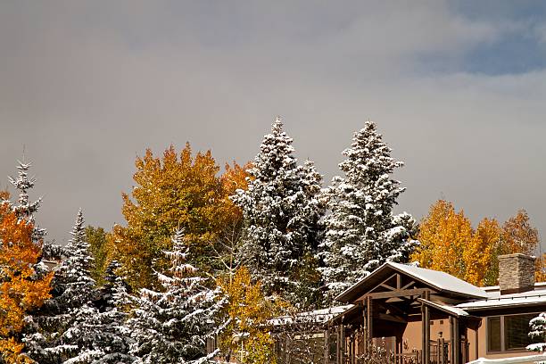 istock Winter time in Snowmass Village 187138819