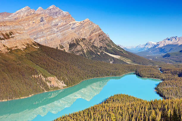istock Peyto Lake in Canada from above on a sunny day 187139250