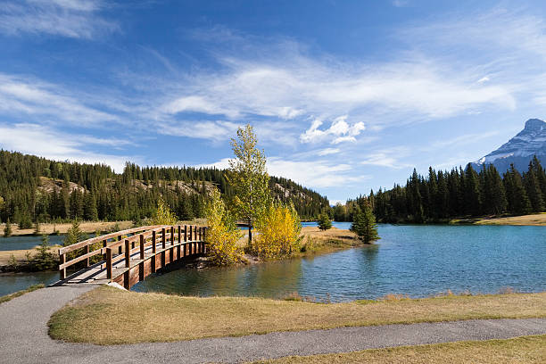 istock Scenics - Bridge over water in beautiful park 187139734