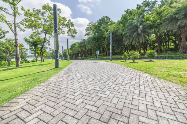 Empty road and trees nature landscape in the park