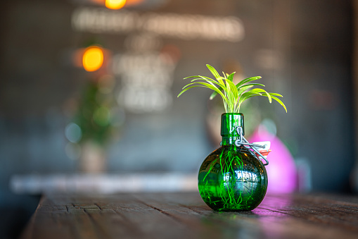 A small house plant in the green glass bottle, placed on the wooden table for interior decoration. Interior furniture object, selective focus.
