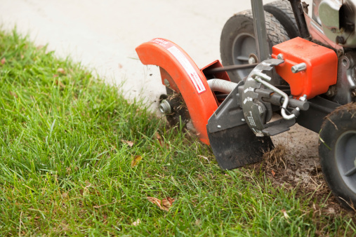 A commercial lawn edger machine is cutting grass next to a concrete sidewalk. Edging the grass gives it a clean defined border and eliminates growth over the sidewalk.