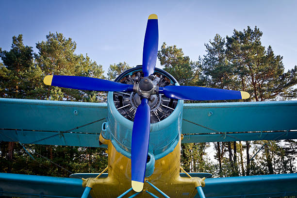 istock Old biplane aircraft AN-2 187141868