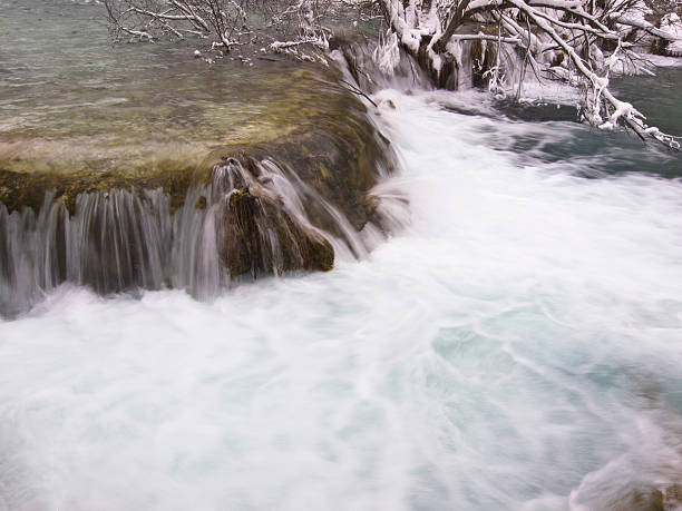 디테일 plitcice - plitvice lakes national park croatia winter sparse 뉴스 사진 이미지