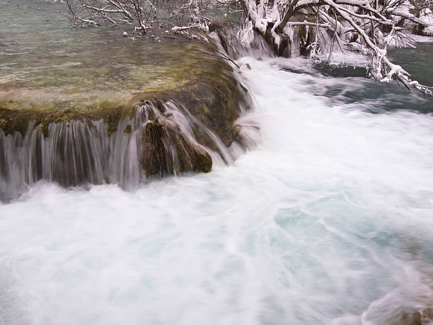 detalhes em plitcice - plitvice lakes national park croatia winter sparse - fotografias e filmes do acervo