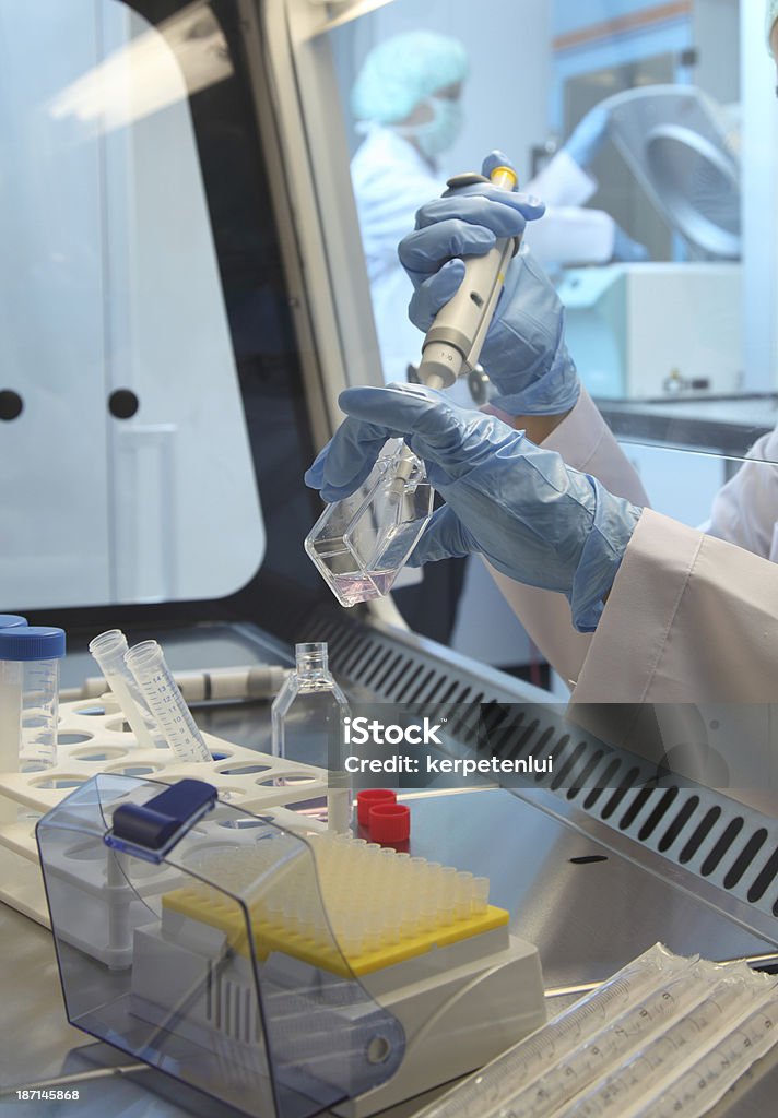 Genetic Research 	Laboratory Biotechnology Stock Photo