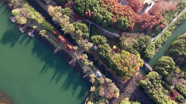 Drone view of beautiful autumn landscape of Huqiu wetland park in Suzhou, Jiangsu, China. Red redwood forest in lake, 4k real time footage, high angle view.