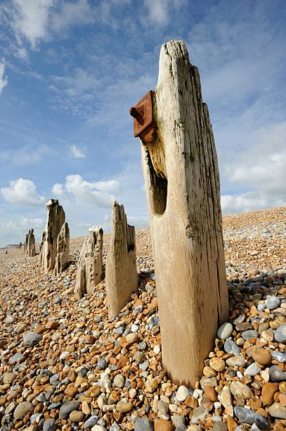 winchelsea beach - winchelsea fotografías e imágenes de stock