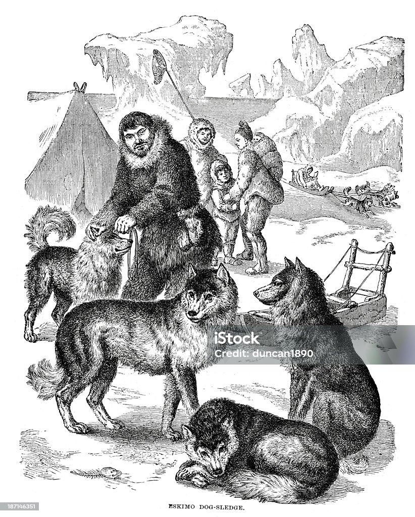 Эскимосская собака sledge - Стоковые иллюстрации Коренные народы Америки роялти-фри