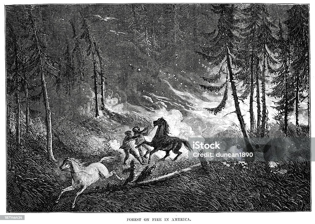 Лесной пожар - Стоковые иллюстрации Гравюра роялти-фри