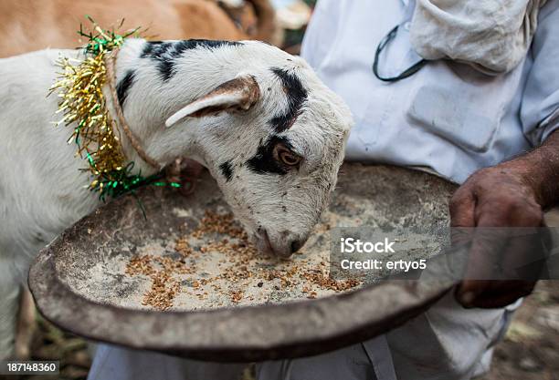 Capra Al Mercato - Fotografie stock e altre immagini di Eid al-Adha - Eid al-Adha, India, Sacrificio